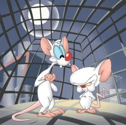 Pinky and The Brain Meme Template