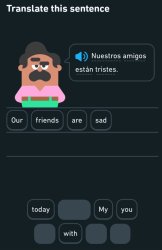 Duolingo our friends are sad Meme Template