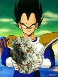 Vegeta Weed Meme Template