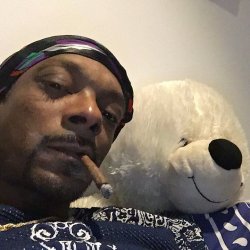 Snoop dog with a teddy bear Meme Template