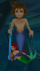 sora and ariel Meme Template