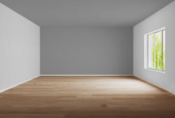 empty room Meme Template