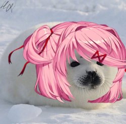 Seal natsuki Meme Template