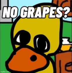 No Grapes Meme Template