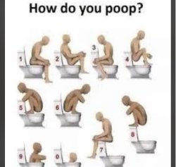 How do you poop Meme Template