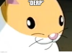 hampter derp Meme Template