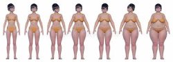 Scale Of Asian Women  Weight Meme Template