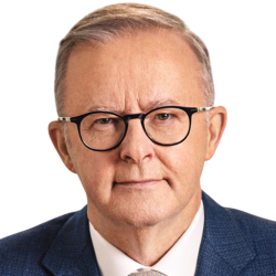 Anthony Albanese Meme Template