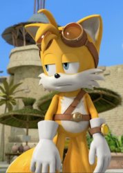 Tails. Meme Template