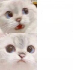 Cat Fear Cat Curious Meme Template