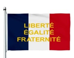 Liberte, Egalite, X Meme Template