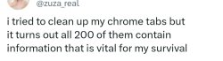 Chrome tabs be like Meme Template