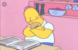 homer sleeping Meme Template