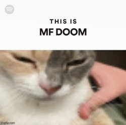 This is MF DOOM Meme Template