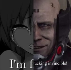 I'm f ucking invincible Meme Template