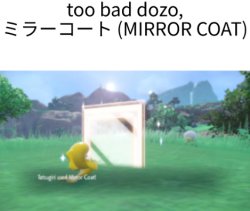 too bad dozo MIRROR COAT Meme Template