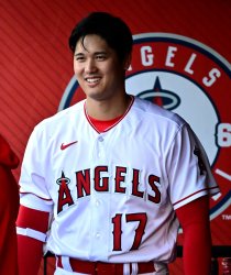 Ohtani Meme Template