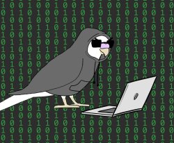 Hacker Bird Meme Template