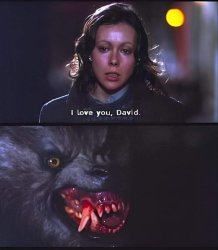 American Werewolf News Meme Meme Template