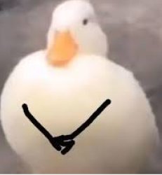 duck Meme Template