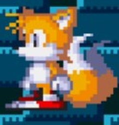 tails Meme Template