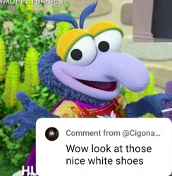 Baby gonzo Meme Template