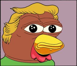 COQINU TRUMP Meme Template