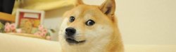 doge meme - banner Meme Template