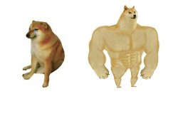 Before After doge Meme Template