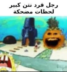 Arabic sponge oran Meme Template