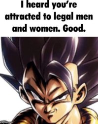 I heard you're attracted to legal men and women. Good. Meme Template