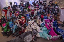Furry fandom Meme Template