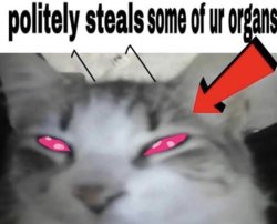 *politely steals some of ur organs* Meme Template