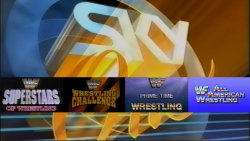 WWF on sky One Meme Template