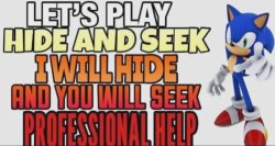 I hide, you seek professional help Meme Template