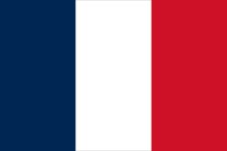 french flag Meme Template