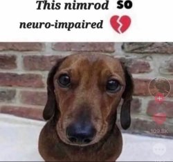 this nimrod so neuro-impaired Meme Template