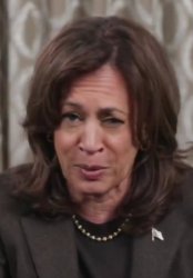 Drunk Kamala Harris Meme Template