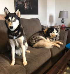 Mila and Sezja couch Meme Template