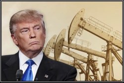 Trump Oil Meme Template