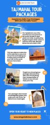 Taj Mahal Tour Packages Meme Template
