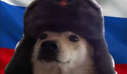 Russian dog Meme Template