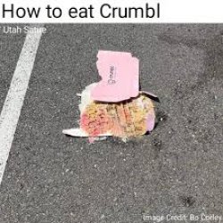 I dropped my Crumbl cookies, now I throw trash not safe to eat Meme Template