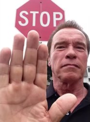 Arnold says STOP Meme Template