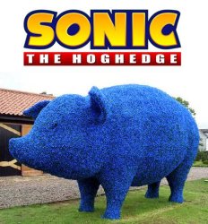 Sonic The Hoghedge Meme Template