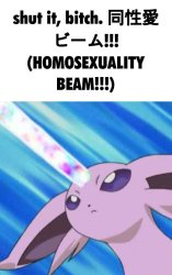 HOMOSEXUALITY BEAM!!! Meme Template