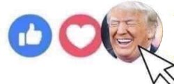 Give it a like, a love or a Trump laughing emoji Meme Template