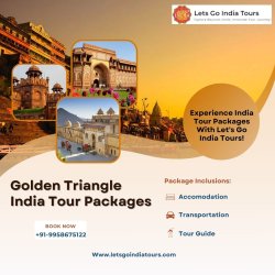 Golden Triangle India Tour Packages Meme Template