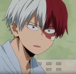 Shoto Todoroki MHA Meme Template