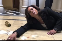 drunk kamala Meme Template